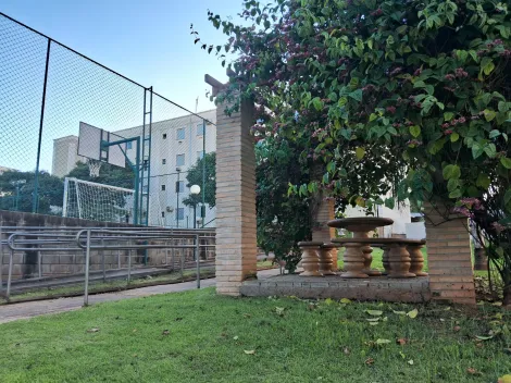 Alugar Apartamento / Padr&atilde;o em S&atilde;o Jos&eacute; do Rio Preto R$ 1.200,00 - Foto 18