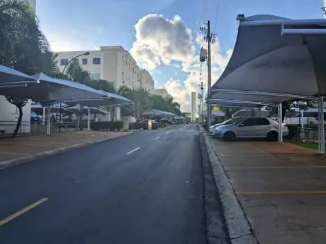 Alugar Apartamento / Padr&atilde;o em S&atilde;o Jos&eacute; do Rio Preto R$ 1.200,00 - Foto 19