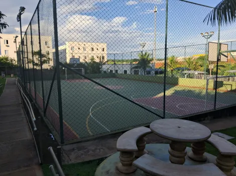 Alugar Apartamento / Padr&atilde;o em S&atilde;o Jos&eacute; do Rio Preto R$ 1.200,00 - Foto 20
