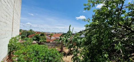 Comprar Comercial / Sal&atilde;o em Votuporanga R$ 5.500.000,00 - Foto 21