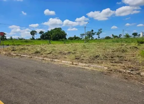 Alugar Terreno / Padr&atilde;o em S&atilde;o Jos&eacute; do Rio Preto. apenas R$ 167.000,00