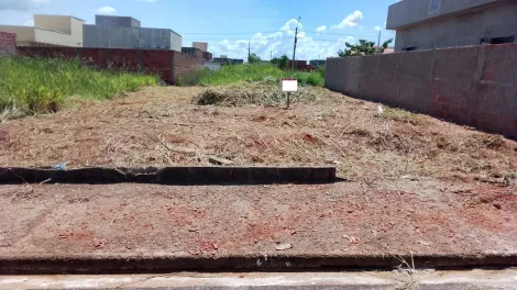 Comprar Terreno / Padr&atilde;o em S&atilde;o Jos&eacute; do Rio Preto R$ 100.000,00 - Foto 2