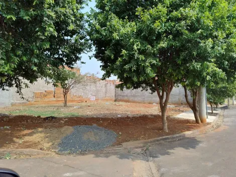 Terreno / Padr&atilde;o em S&atilde;o Jos&eacute; do Rio Preto 
