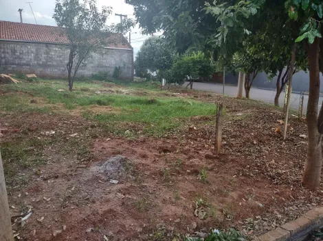 Comprar Terreno / Padr&atilde;o em S&atilde;o Jos&eacute; do Rio Preto R$ 130.000,00 - Foto 5