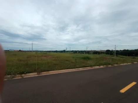 Comprar Terreno / Condom&iacute;nio em S&atilde;o Jos&eacute; do Rio Preto R$ 350.000,00 - Foto 2