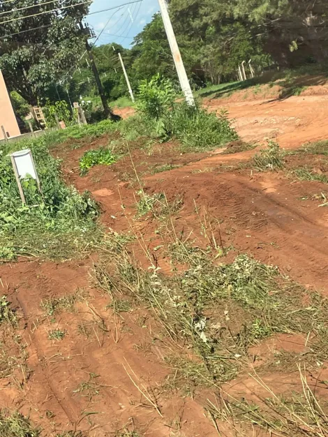 Comprar Terreno / Padr&atilde;o em Fronteira R$ 125.000,00 - Foto 4