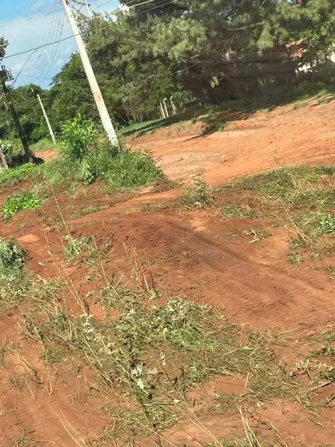 Comprar Terreno / Padr&atilde;o em Fronteira R$ 125.000,00 - Foto 10