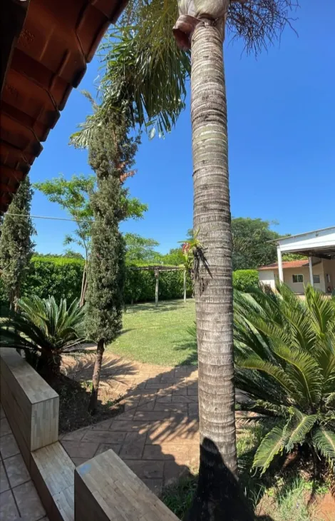 Alugar Rural / Ch&aacute;cara em Guapia&ccedil;u R$ 3.700,00 - Foto 9