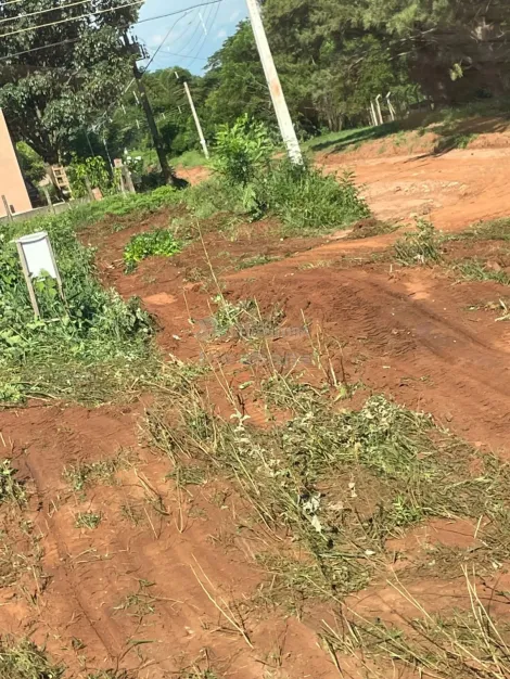 Comprar Terreno / Padr&atilde;o em Fronteira R$ 99.000,00 - Foto 4