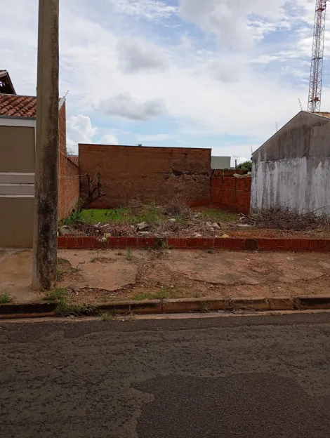 Comprar Terreno / Padr&atilde;o em S&atilde;o Jos&eacute; do Rio Preto R$ 100.000,00 - Foto 3