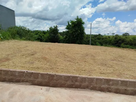 Terreno / Padr&atilde;o em Mirassol 