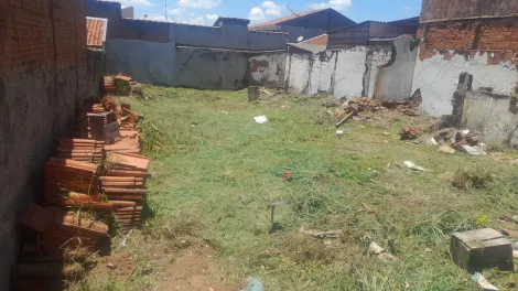 Terreno / Padr&atilde;o em S&atilde;o Jos&eacute; do Rio Preto 