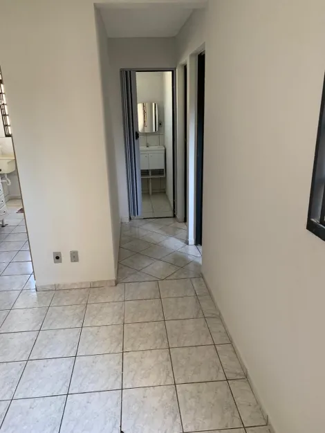 Alugar Apartamento / Padr&atilde;o em S&atilde;o Jos&eacute; do Rio Preto R$ 950,00 - Foto 3