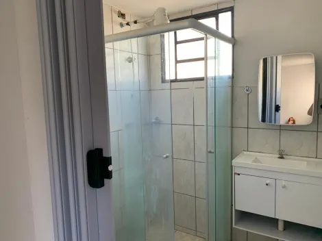 Alugar Apartamento / Padr&atilde;o em S&atilde;o Jos&eacute; do Rio Preto R$ 950,00 - Foto 12