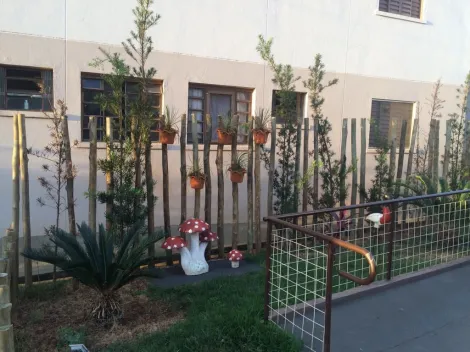 Alugar Apartamento / Padr&atilde;o em S&atilde;o Jos&eacute; do Rio Preto R$ 950,00 - Foto 14