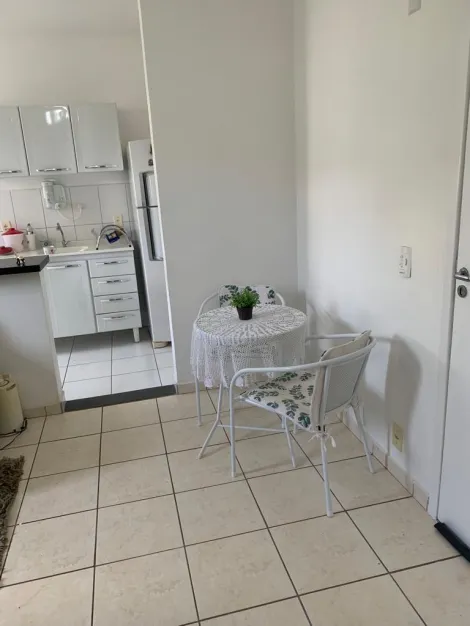 Alugar Apartamento / Padr&atilde;o em S&atilde;o Jos&eacute; do Rio Preto R$ 950,00 - Foto 2