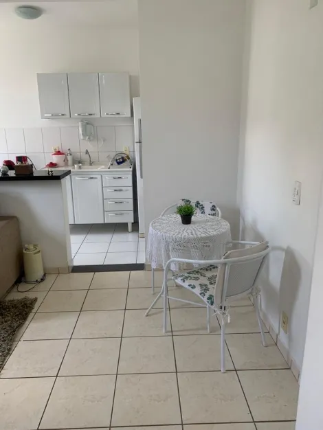 Alugar Apartamento / Padr&atilde;o em S&atilde;o Jos&eacute; do Rio Preto R$ 950,00 - Foto 3