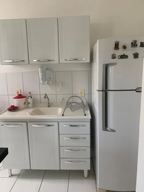 Alugar Apartamento / Padr&atilde;o em S&atilde;o Jos&eacute; do Rio Preto R$ 950,00 - Foto 5