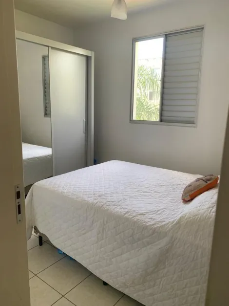 Alugar Apartamento / Padr&atilde;o em S&atilde;o Jos&eacute; do Rio Preto R$ 950,00 - Foto 6