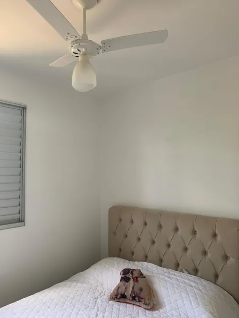 Alugar Apartamento / Padr&atilde;o em S&atilde;o Jos&eacute; do Rio Preto R$ 950,00 - Foto 8