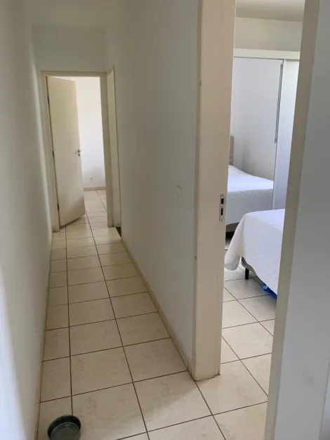 Alugar Apartamento / Padr&atilde;o em S&atilde;o Jos&eacute; do Rio Preto R$ 950,00 - Foto 9
