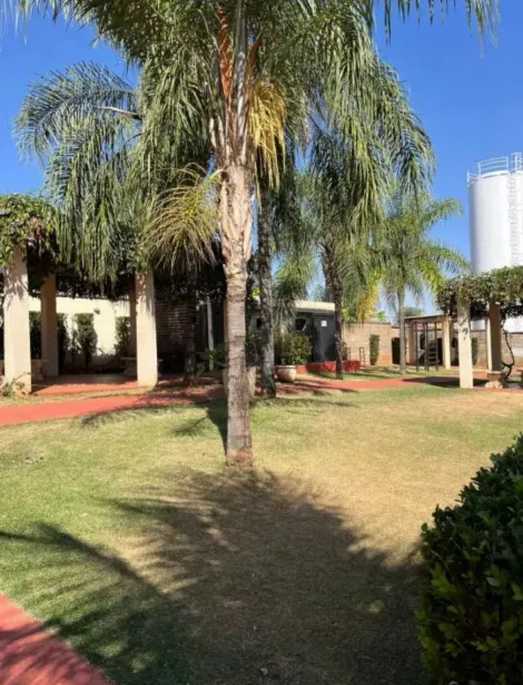 Comprar Apartamento / Padr&atilde;o em S&atilde;o Jos&eacute; do Rio Preto R$ 275.000,00 - Foto 16