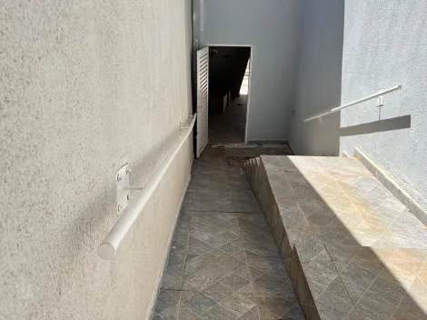 Alugar Casa / Padr&atilde;o em S&atilde;o Jos&eacute; do Rio Preto R$ 4.000,00 - Foto 5