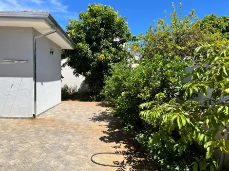 Alugar Casa / Padr&atilde;o em S&atilde;o Jos&eacute; do Rio Preto R$ 4.000,00 - Foto 7