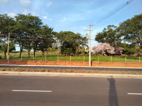 Terreno / &Aacute;rea em S&atilde;o Jos&eacute; do Rio Preto 