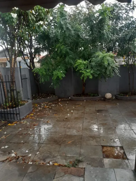 Comprar Casa / Padr&atilde;o em S&atilde;o Jos&eacute; do Rio Preto R$ 450.000,00 - Foto 3