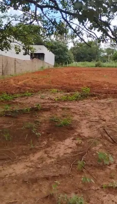 Comprar Rural / Ch&aacute;cara em S&atilde;o Jos&eacute; do Rio Preto R$ 1.500.000,00 - Foto 3