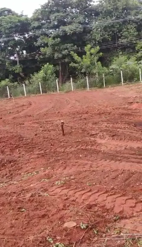 Comprar Rural / Ch&aacute;cara em S&atilde;o Jos&eacute; do Rio Preto R$ 1.500.000,00 - Foto 4