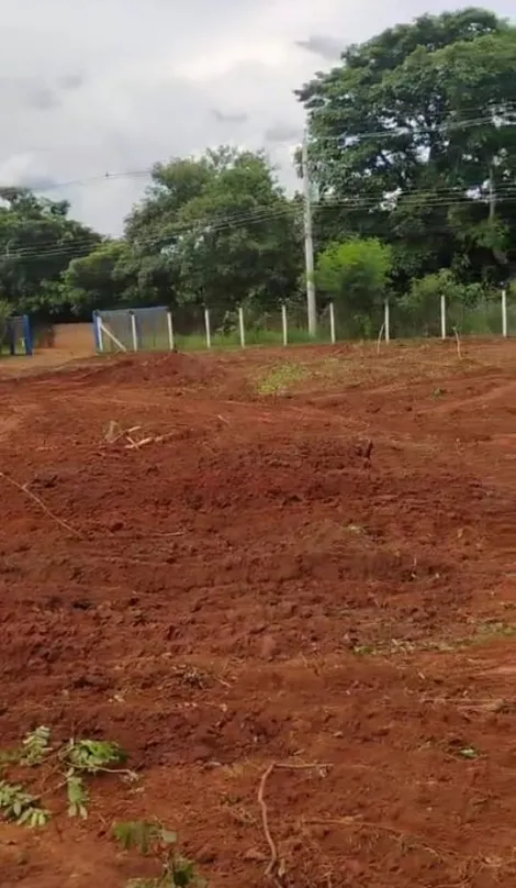 Comprar Rural / Ch&aacute;cara em S&atilde;o Jos&eacute; do Rio Preto R$ 1.500.000,00 - Foto 5