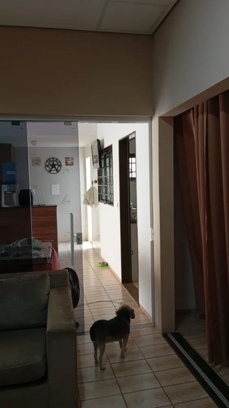 Comprar Casa / Sobrado em S&atilde;o Jos&eacute; do Rio Preto R$ 1.300.000,00 - Foto 96