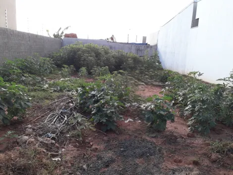 Comprar Terreno / Padr&atilde;o em S&atilde;o Jos&eacute; do Rio Preto R$ 130.000,00 - Foto 2