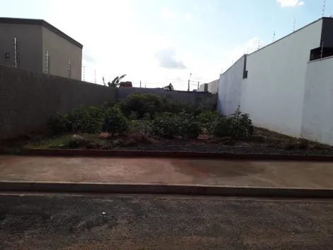 Alugar Terreno / Padr&atilde;o em S&atilde;o Jos&eacute; do Rio Preto. apenas R$ 130.000,00