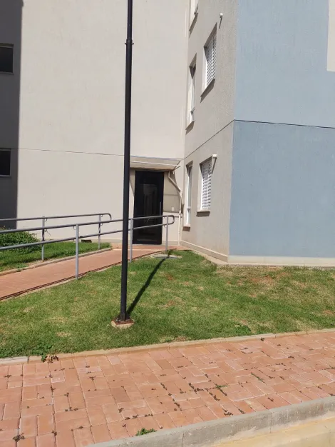 Alugar Apartamento / Padr&atilde;o em S&atilde;o Jos&eacute; do Rio Preto R$ 950,00 - Foto 7