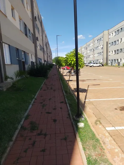Alugar Apartamento / Padr&atilde;o em S&atilde;o Jos&eacute; do Rio Preto R$ 950,00 - Foto 11