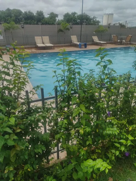 Alugar Apartamento / Padr&atilde;o em S&atilde;o Jos&eacute; do Rio Preto R$ 950,00 - Foto 14