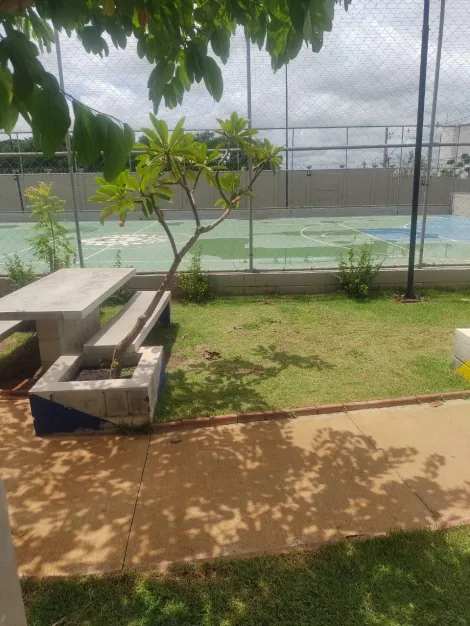 Alugar Apartamento / Padr&atilde;o em S&atilde;o Jos&eacute; do Rio Preto R$ 950,00 - Foto 15