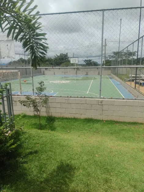 Alugar Apartamento / Padr&atilde;o em S&atilde;o Jos&eacute; do Rio Preto R$ 950,00 - Foto 16