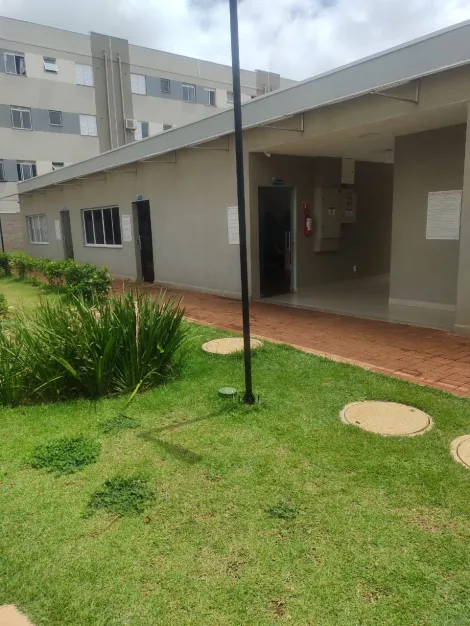 Alugar Apartamento / Padr&atilde;o em S&atilde;o Jos&eacute; do Rio Preto R$ 950,00 - Foto 18