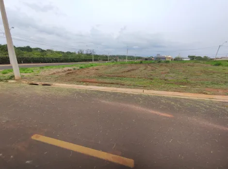 Terreno / Padr&atilde;o em S&atilde;o Jos&eacute; do Rio Preto 