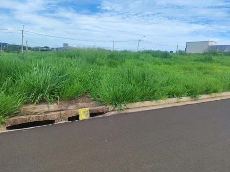Comprar Terreno / Padr&atilde;o em S&atilde;o Jos&eacute; do Rio Preto R$ 120.000,00 - Foto 3