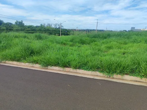 Comprar Terreno / Padr&atilde;o em S&atilde;o Jos&eacute; do Rio Preto R$ 120.000,00 - Foto 4