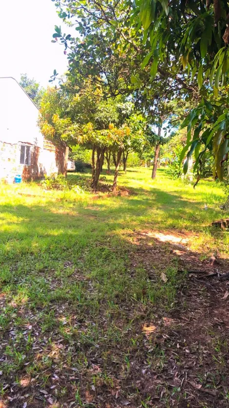 Rural / Ch&aacute;cara em S&atilde;o Jos&eacute; do Rio Preto 