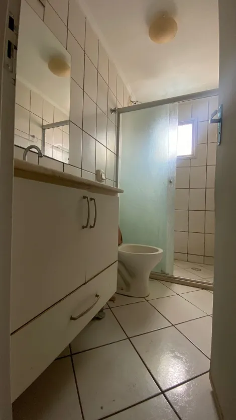 Alugar Apartamento / Padr&atilde;o em S&atilde;o Jos&eacute; do Rio Preto R$ 800,00 - Foto 5