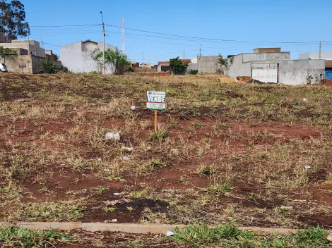 Terreno / Padr&atilde;o em S&atilde;o Jos&eacute; do Rio Preto 