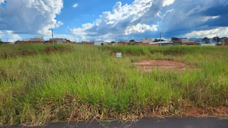 Alugar Terreno / Padr&atilde;o em S&atilde;o Jos&eacute; do Rio Preto. apenas R$ 85.000,00