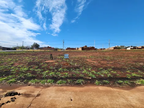 Terreno / Padr&atilde;o em S&atilde;o Jos&eacute; do Rio Preto 